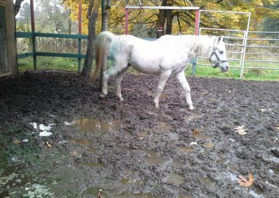 Eco GreenGrid Farm area use for mud control and ground stability