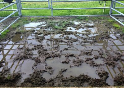 Eco GreenGrid Horse paddock use for mud control