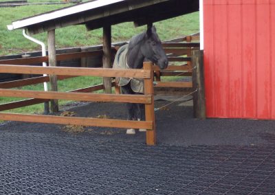 Eco GreenGrid Horse and Farm area use for mud control and ground stability