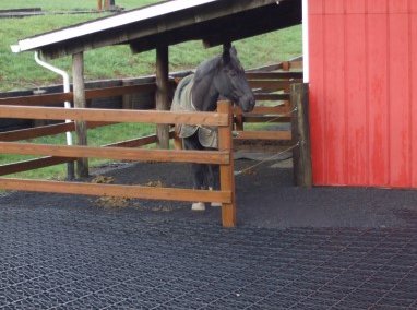 Equestrian Facilities